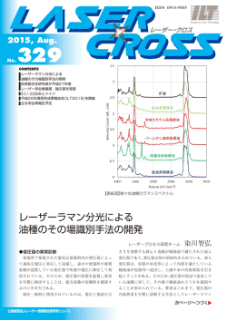 レーザーラマン分光による 油種のその場識別手法の開発