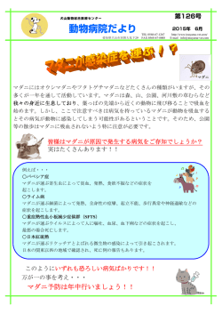 マダニが感染症を運ぶ！？ - 犬山動物総合医療センター