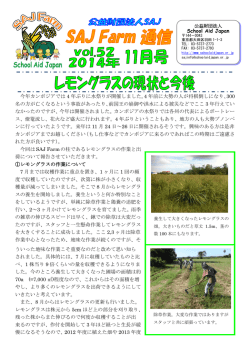 レモングラスの現状と今後(PDFファイルでご覧になれます