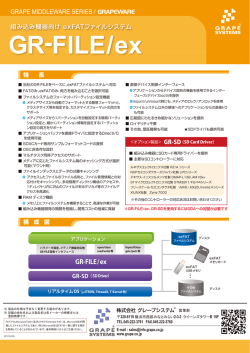 GR-FILE/ex
