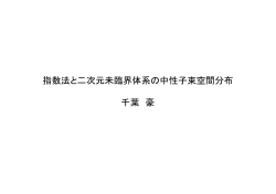 指数法と二次元未臨界体系の中性子束空間分布 千葉 豪