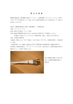 ISODA Electric「HX-2060」＋「GCW tune」製品仕様書