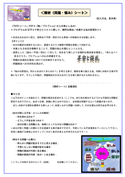 ＜解析（問題・悩み）シート＞