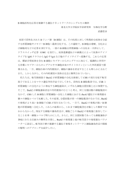 アブストラクト