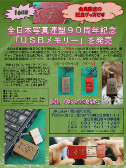 全日本写真連盟90周年記念 「USBメモリー」を発売