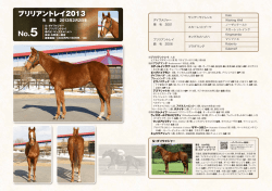 ブリリアントレイ2013 No.5