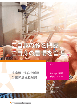Nedap出産豚 給餌システム - Nedap Livestock Management