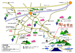 桃・ぶどう狩り