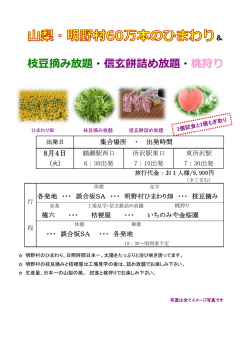 枝豆摘み放題・信玄餅詰め放題・桃狩り
