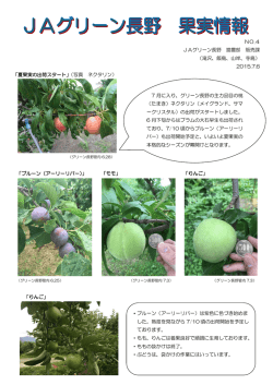（滝沢、飯島、山岸、寺島） 2015.7.6 「夏果実の出荷