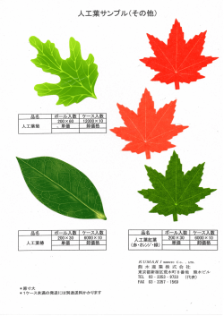 人工葉サンプル（その他）