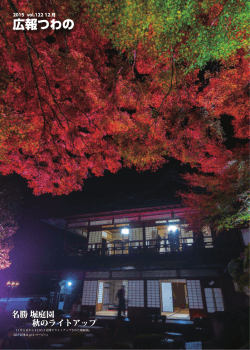 名勝 堀庭園 秋のライトアップ