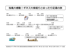 桜島大感動！ギネス大根堀りとゆったり足湯の旅