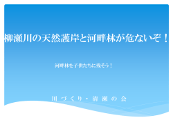 柳瀬川の天然護岸と河畔林が危ないぞ！