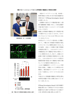動かないことによって生じる骨格筋の線維化の原因を探索
