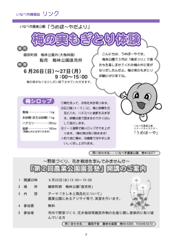 梅の実もぎとり体験