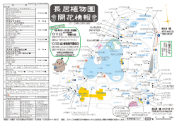 10/11（日） 10/30（金）植物雑学講座③