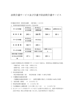 訪問介護サービス及び介護予防訪問介護サービス