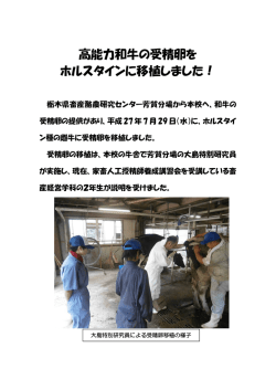 （畜産）高能力和牛の受精卵をホルスタインに移植しました！