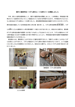 親子工場見学会～うずら卵のルーツを探ろう～を開催しました