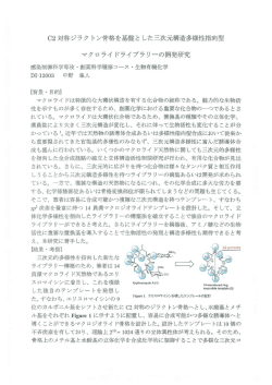 論文要旨