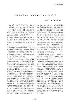 中華人民共和国でオオヒメシロチョウを探して（サンプル）
