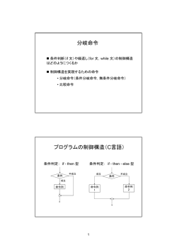 分岐命令 プログラムの制御構造（C言語）