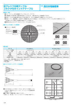 規格 西日本電線標準 光プレハブ分岐ケーブル コネクタ付きインドア