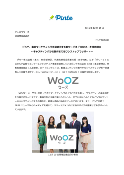 動画マーケティングを最適化する新サービス「WOOZ」