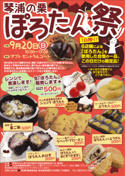 H27 ぽろたん祭チラシ.