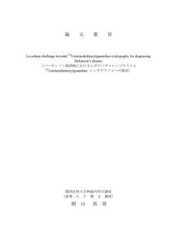論文要旨（要約）