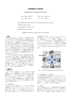 脊髄硬膜の引張試験 - HyperWorks