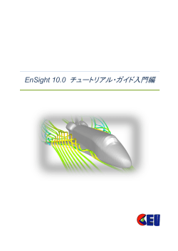 EnSight 10.0 チュートリアル・ガイド入門編