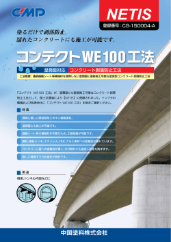 中国塗料株式会社