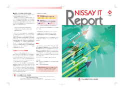 IT REPORT表ol - ニッセイ情報テクノロジー株式会社