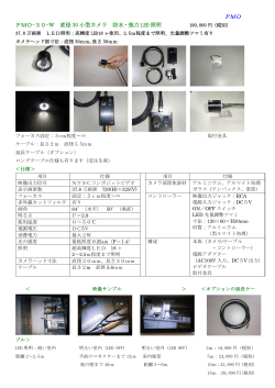 PMO PMO-30-W 直径 30 小型カメラ 防水・強力 LED 照明