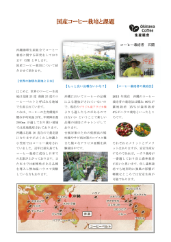 国産コーヒー栽培と課題 - 沖縄コーヒー生産組合