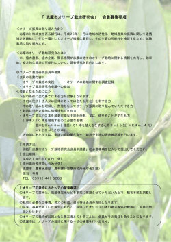 「志摩市オリーブ栽培研究会」 会員募集要項