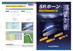 SRホーン - ビスキャス