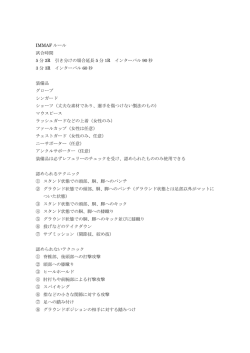 IMMAFルール要点日本語訳