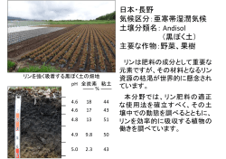 日本・長野 気候区分 亜寒帯湿潤気候 気候区分：亜寒帯湿潤気候 土壌