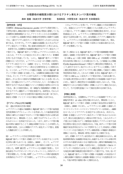 分裂酵母の細胞質分裂におけるアクチン束化タンパク質の機能