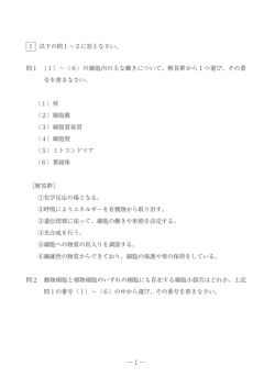 Document