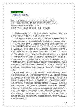 Document