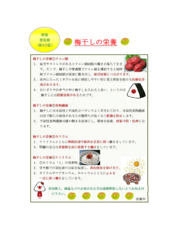 梅干しの栄養