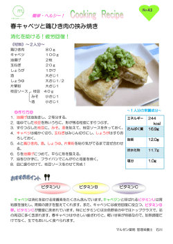 春キャベツと鶏ひき肉の挟み焼き