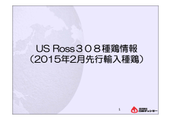 US Ross308種鶏情報 （2015年2月先行輸入種鶏）