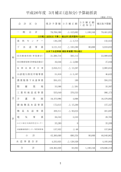 平成26年度 3月補正（追加分）予算総括表