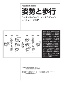 姿勢と歩行