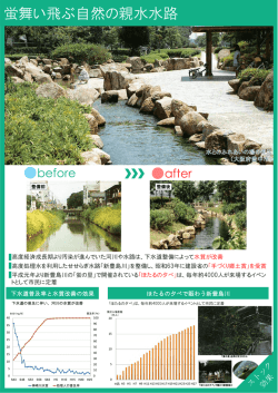 蛍舞い飛ぶ自然の親水水路
